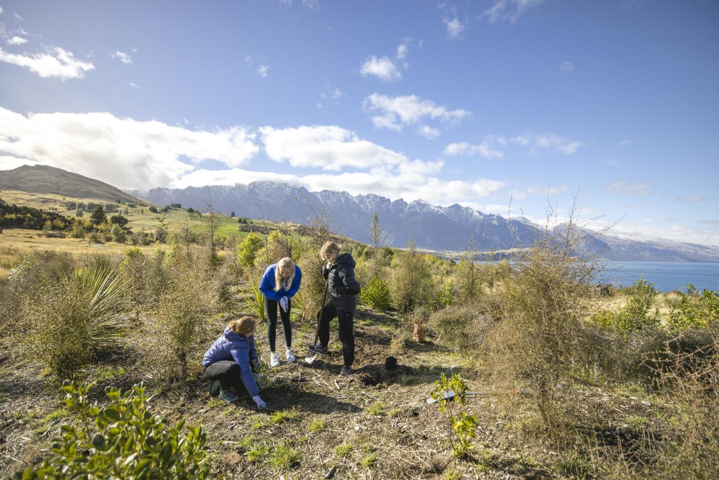 Group planting trees with the Remarkables mountain in the background