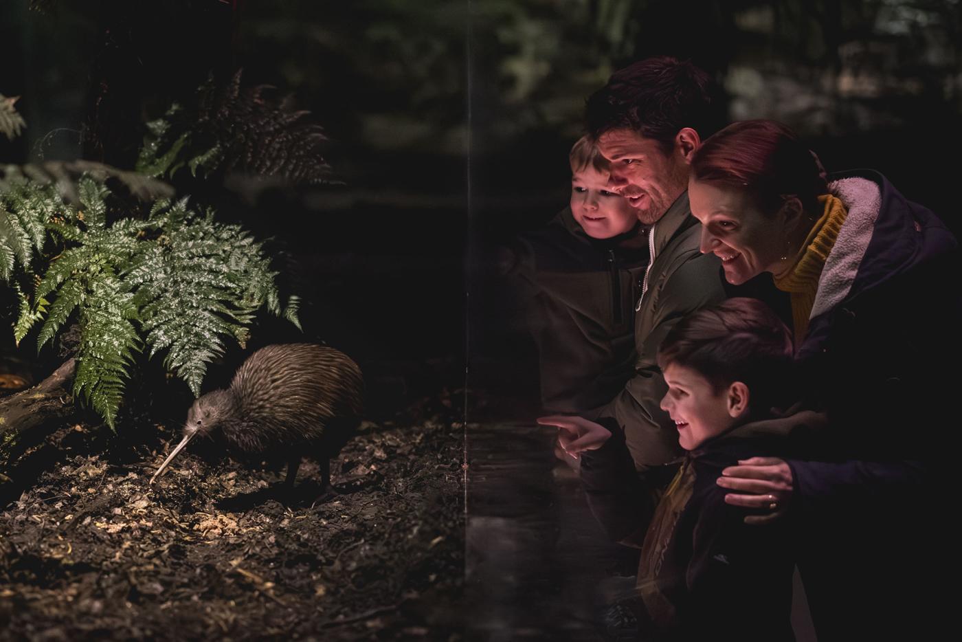 Family viewing a kiwi from behind glass