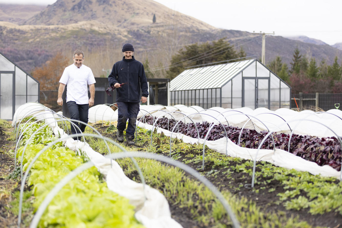 Chef and Gardener walking through the Millbrook Kitchen Gardens