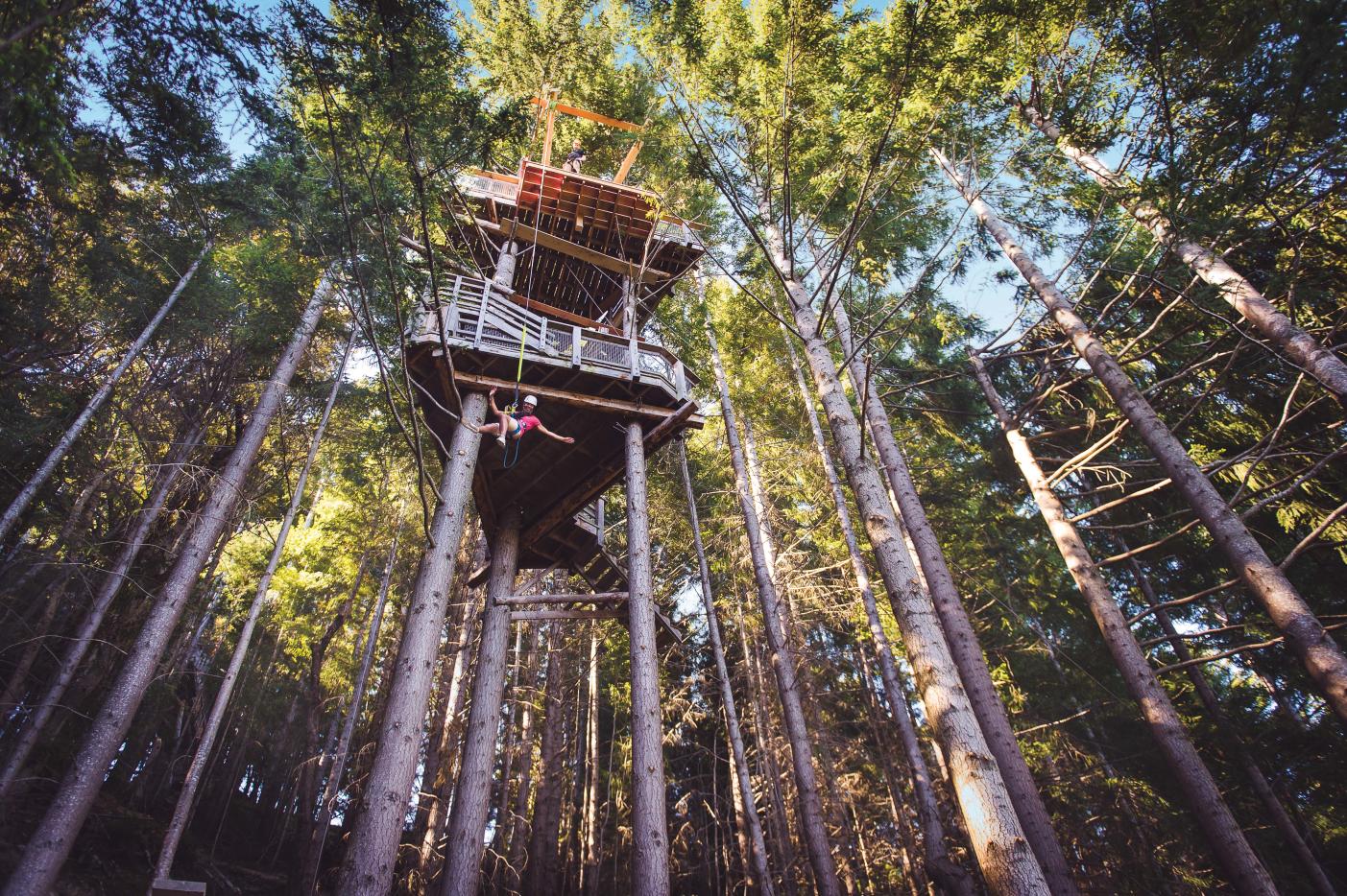 Queenstown Cares initiative about ziplining activity Ziptrek Ecotours on Bob's Peak