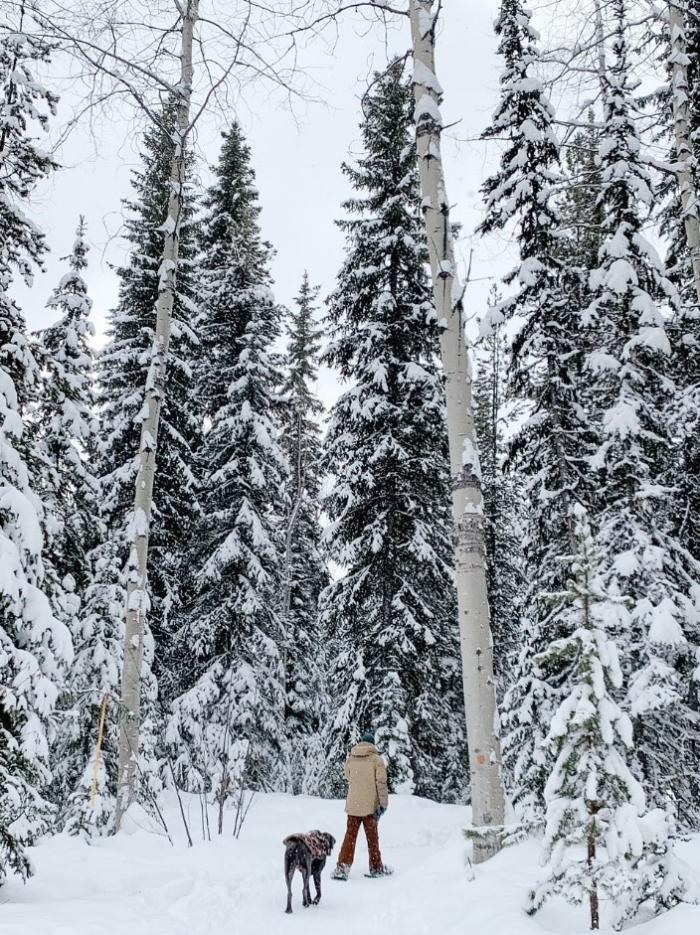 Person Snowshoeing with dog at Kelowna Nordic Centre