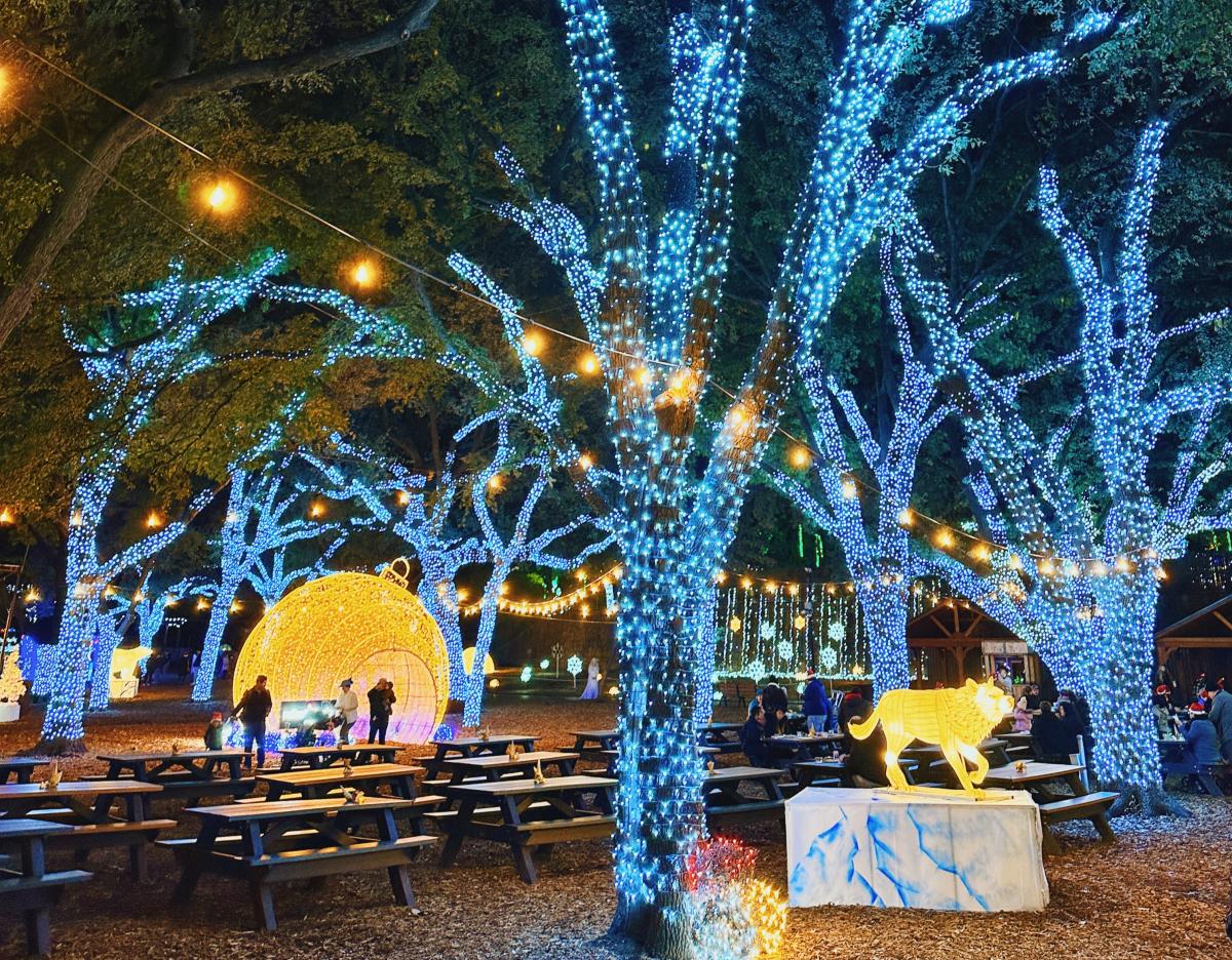 Dallas Zoo Lights