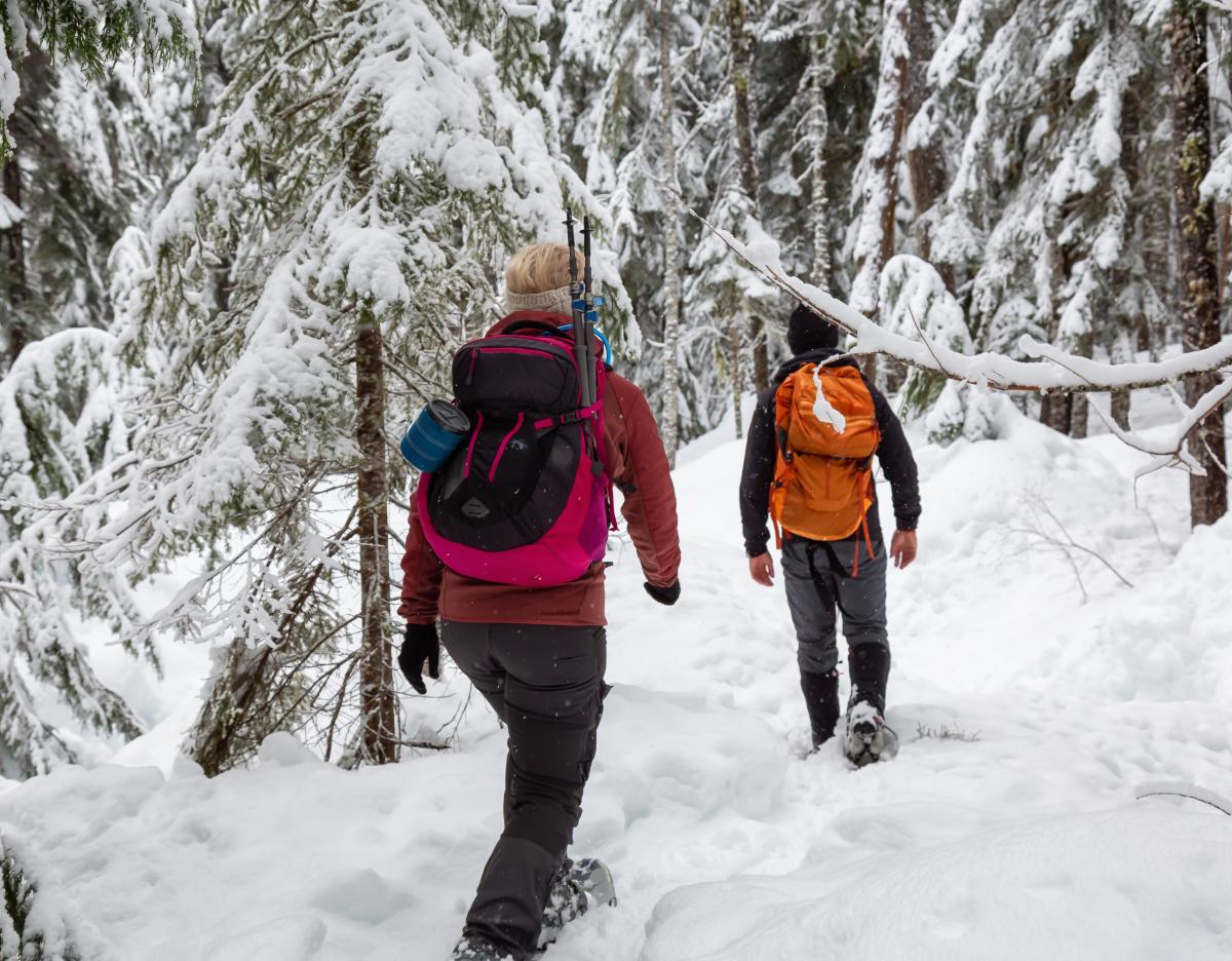 Ski Bowl Snowshoer
