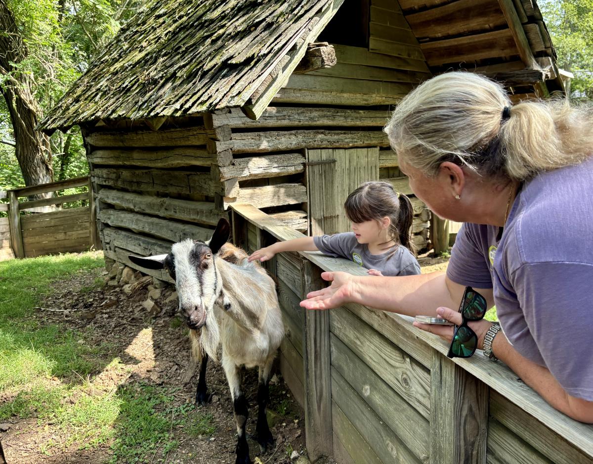 Burritt animal