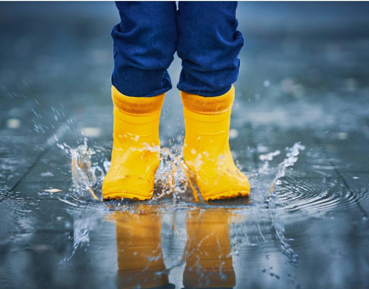 Things to Do on Rainy Days on Martha's Vineyard