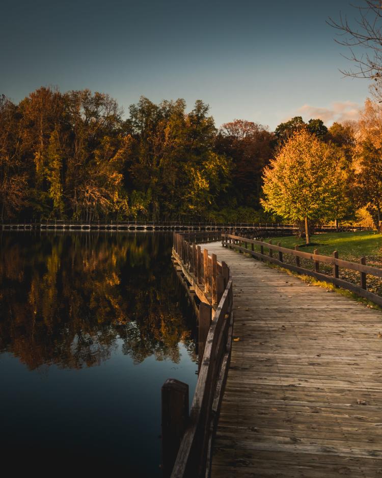 Lansing trail