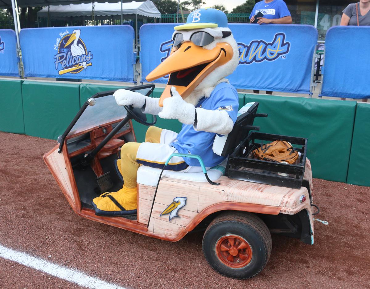 Myrtle Beach Pelicans - Splash