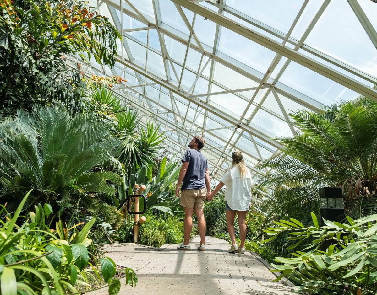 Foellinger-Freimann Botanical Conservatory