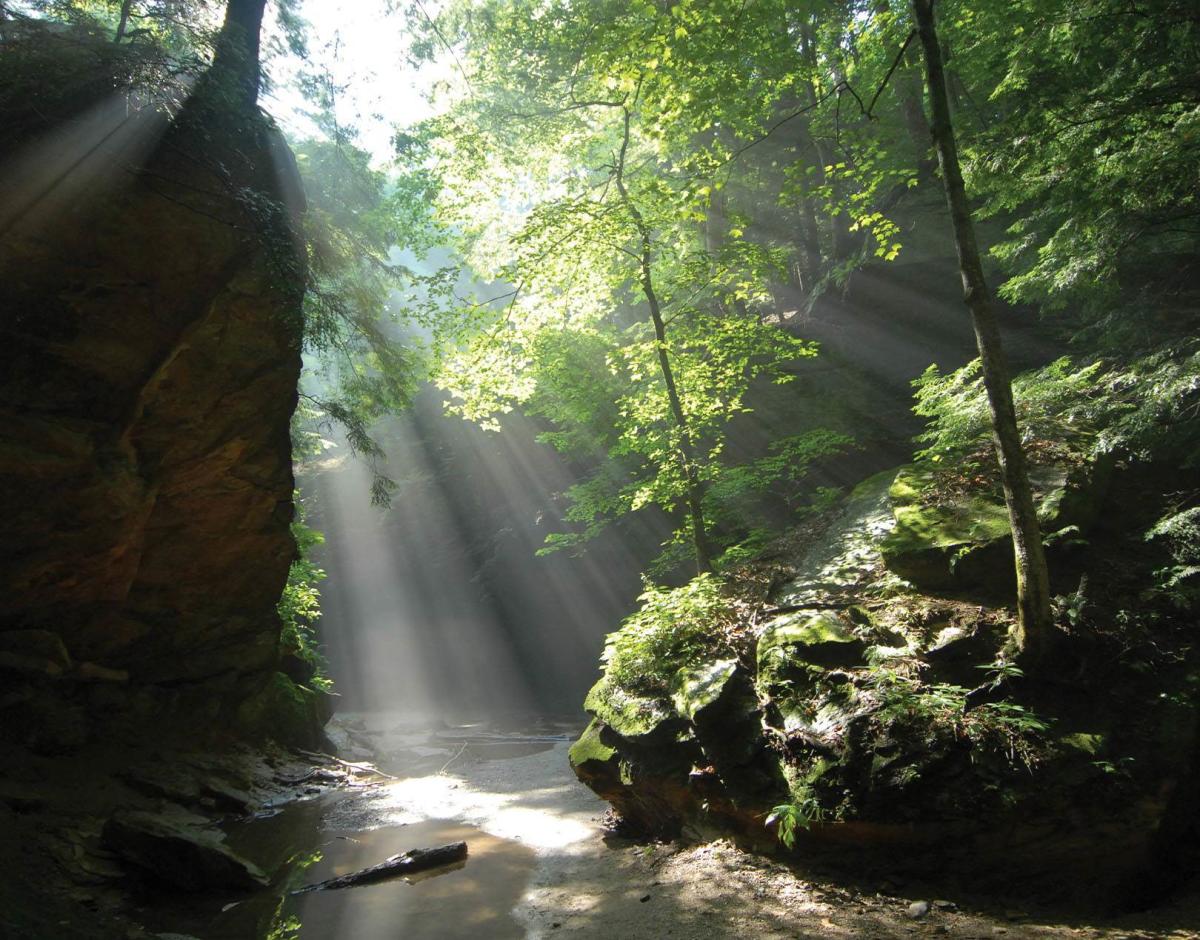 Turkey Run State Park, Marshall
