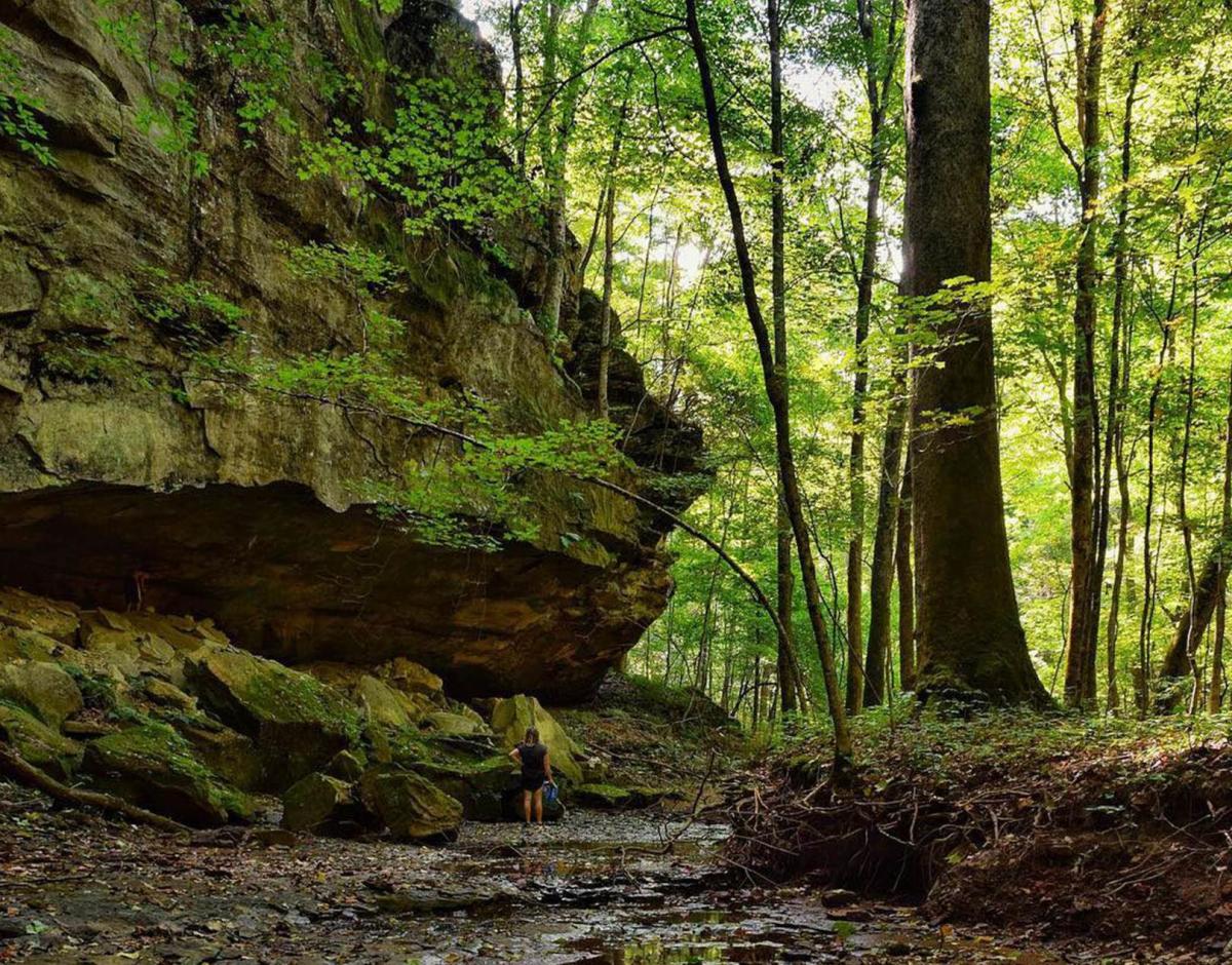 Hoosier National Forest