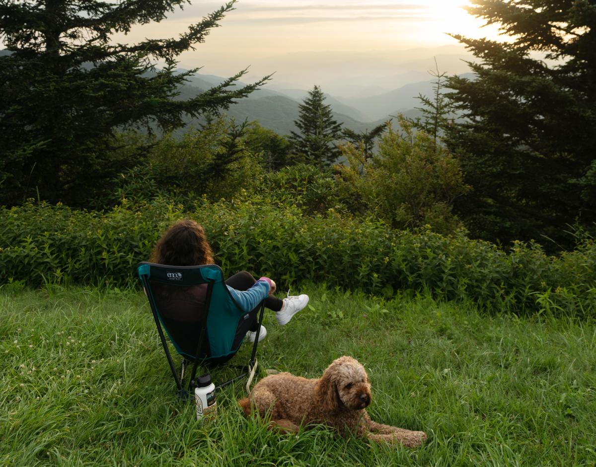 Dog Friendly - Blue Ridge Parkway