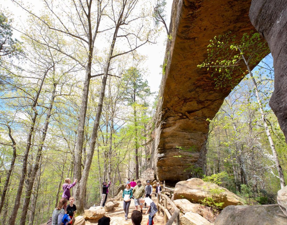 Red River Gorge in Spring