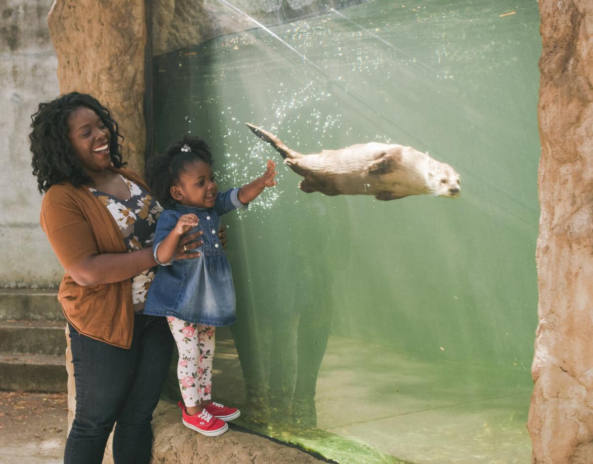 The Virginia Living Museum