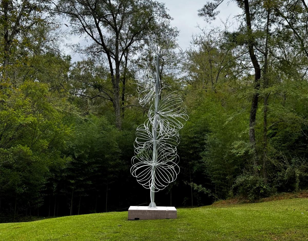 forest forms