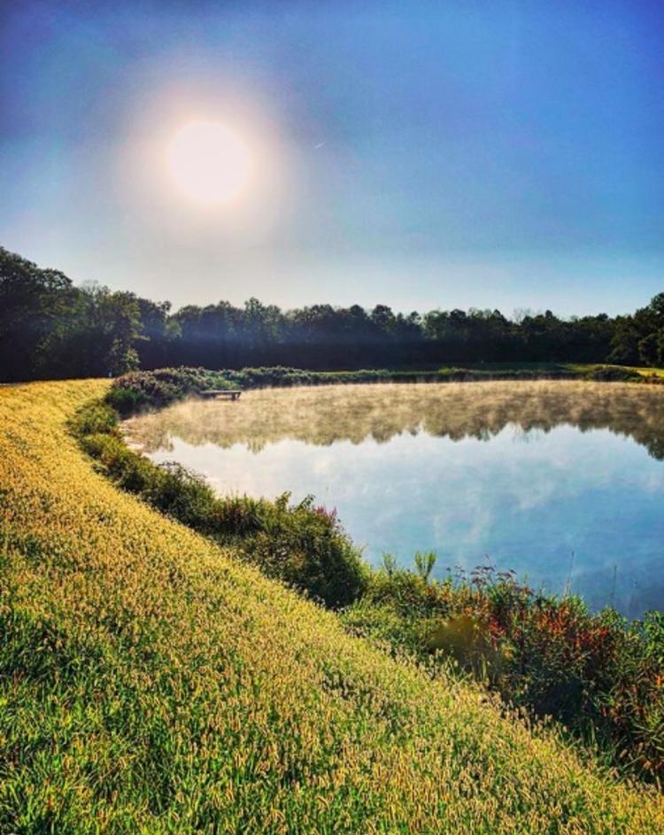 Sun Shining on a pond