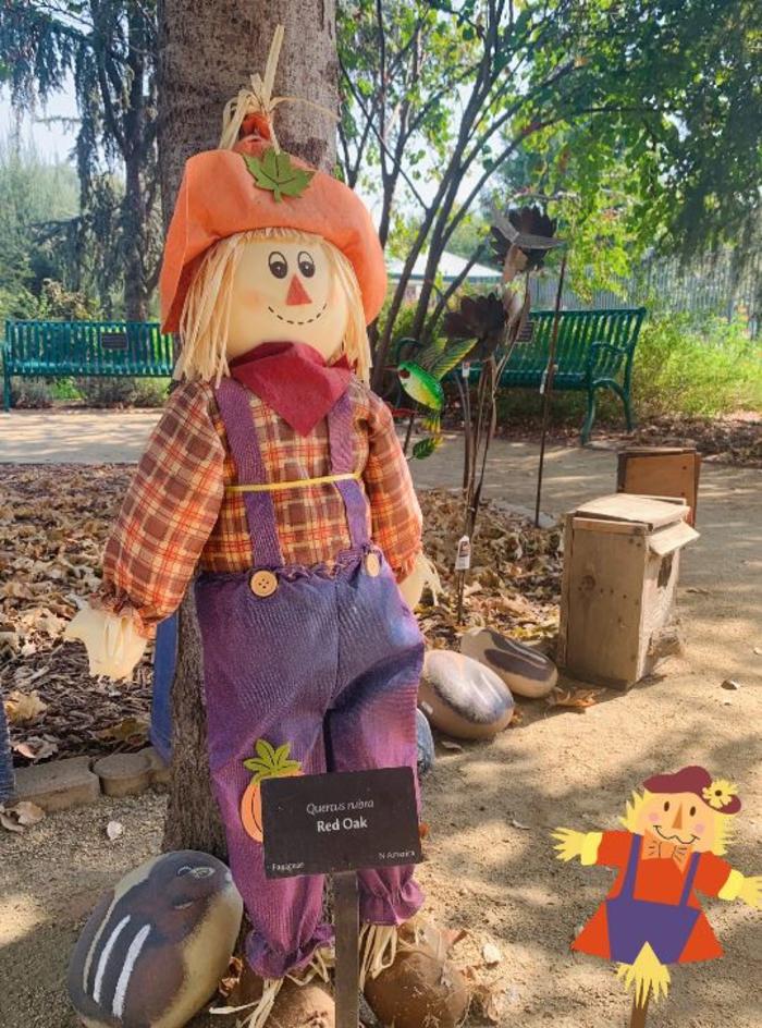 Handmade scarecrow with orange plaid shirt and blue overalls sits on stoop in garden