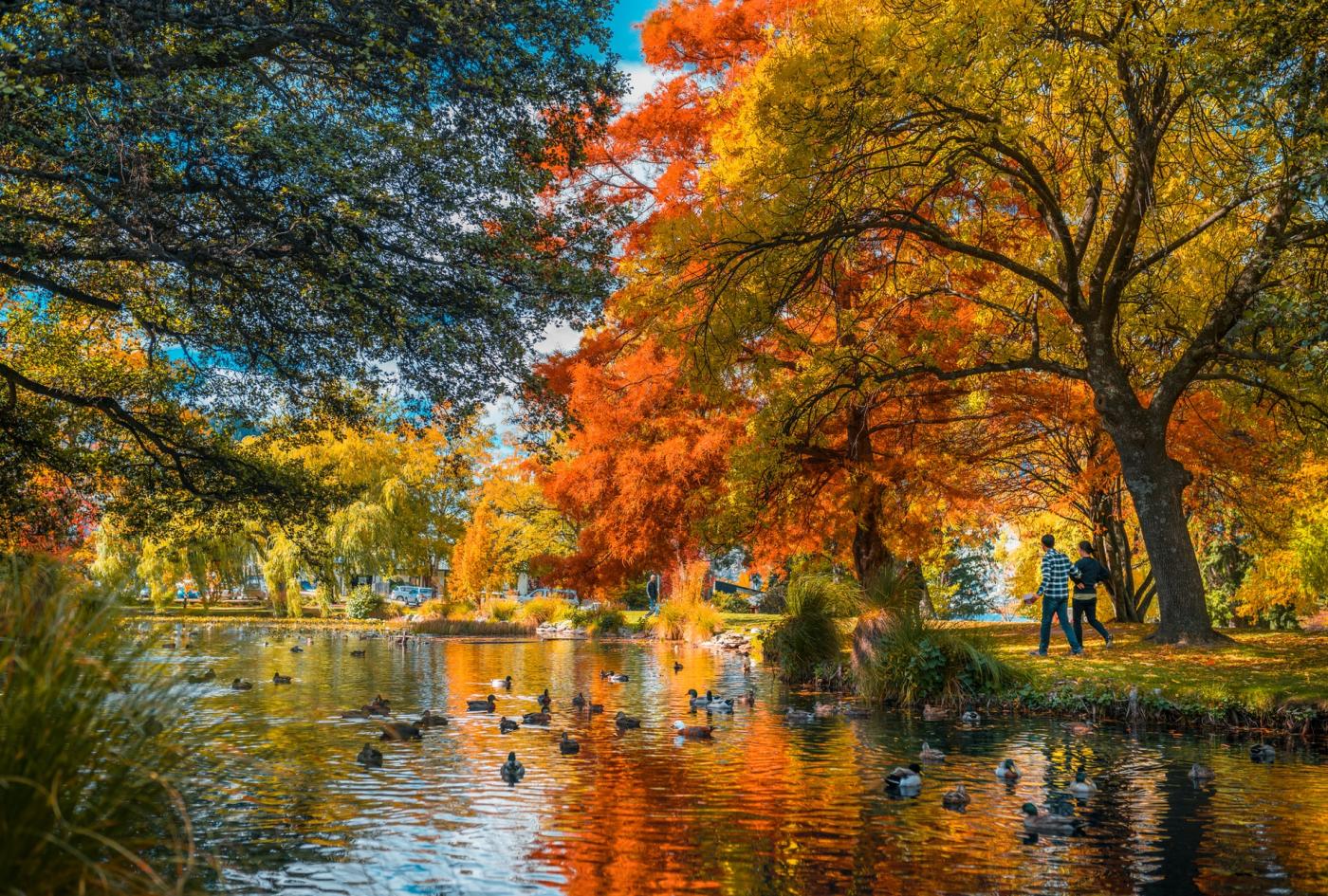 Two people walking next to a lake in Queenstown Gardens in Autumn, surrounded by red and gold coloured trees