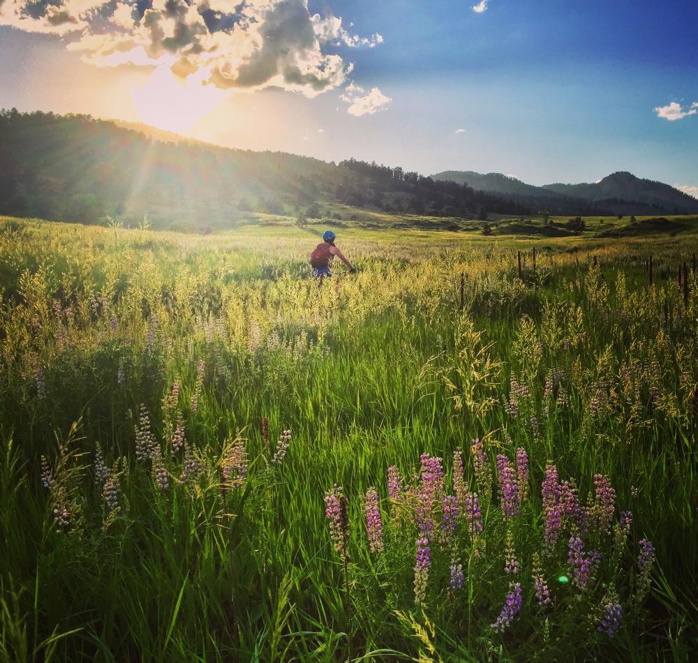 Mountain Biking in Fort Collins