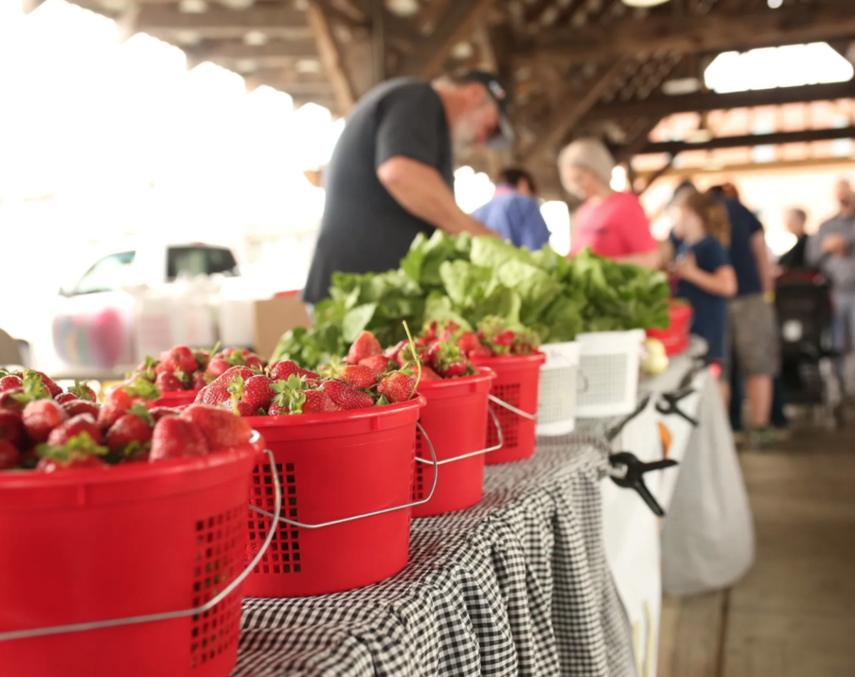 cullman strawberry festival