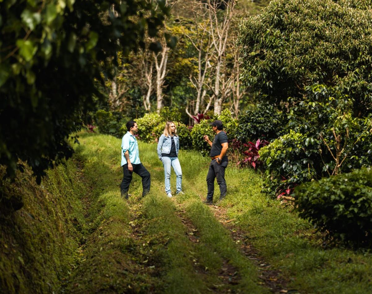 Los Narajos, Boquete, Elida Coffee, cafe