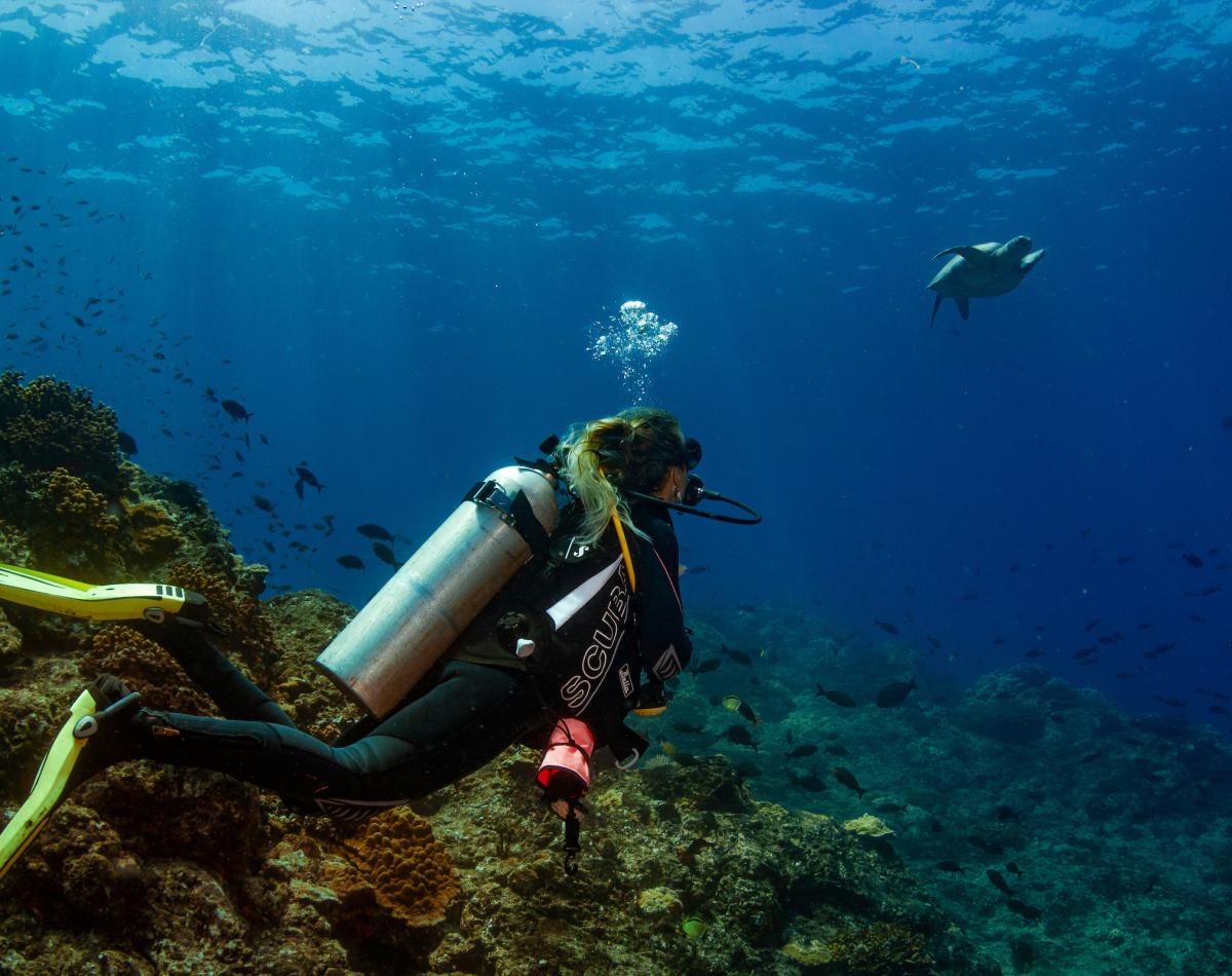Scuba