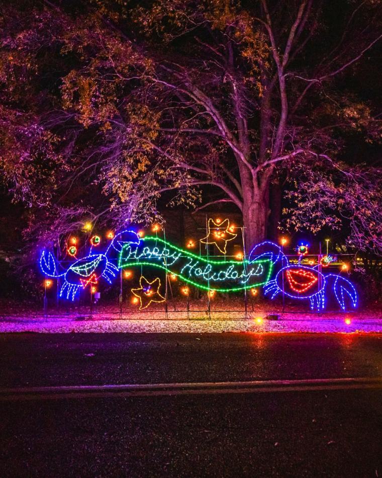 Lights on the Bay