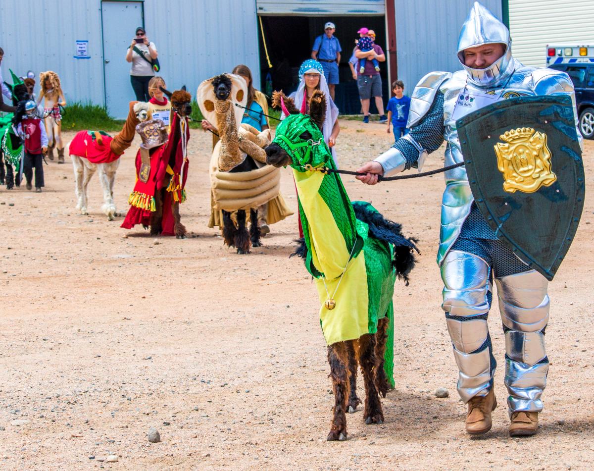 Estes Park Wool Festival 2022