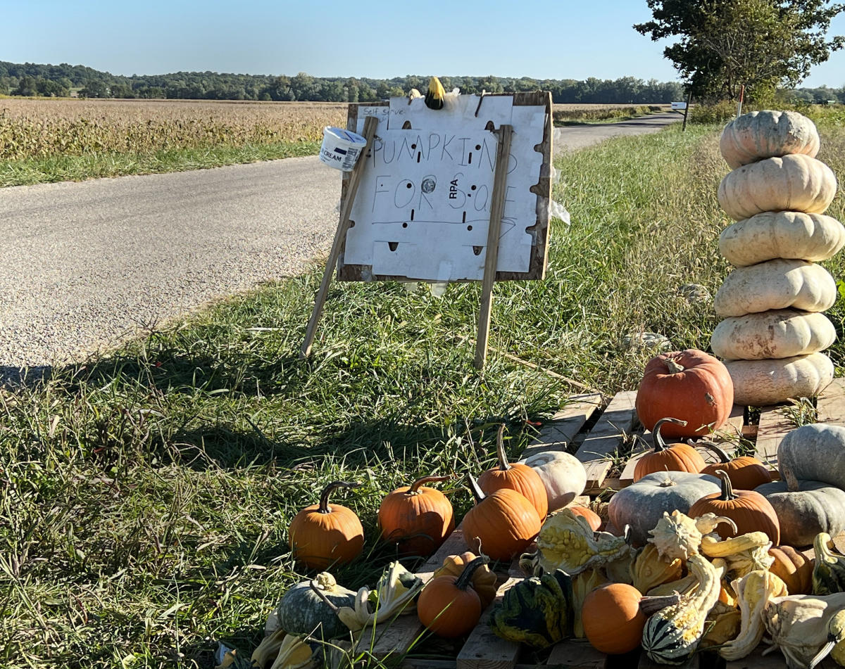 Roadside Pumpkins