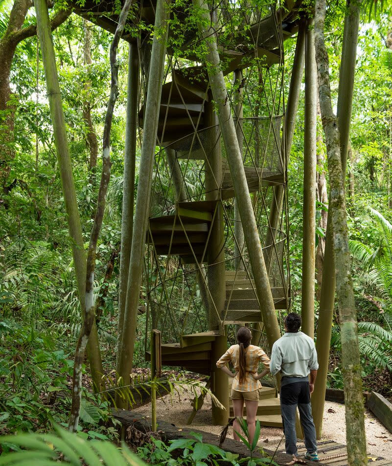 Tower Birdwatching,Gamboa Rainforest Reserve