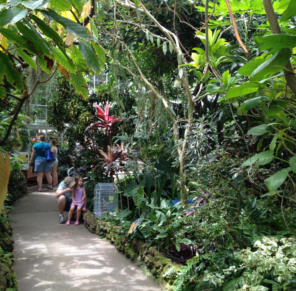 Krohn Conservatory