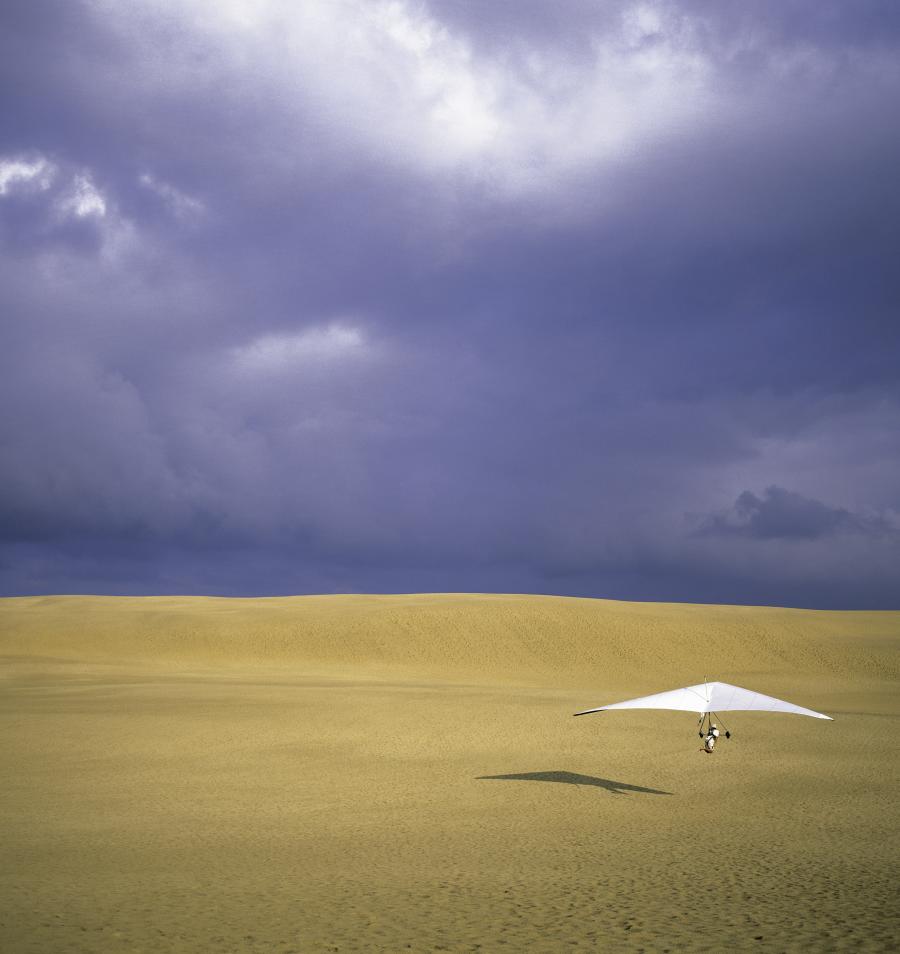 Hang glider at jockey's ridge