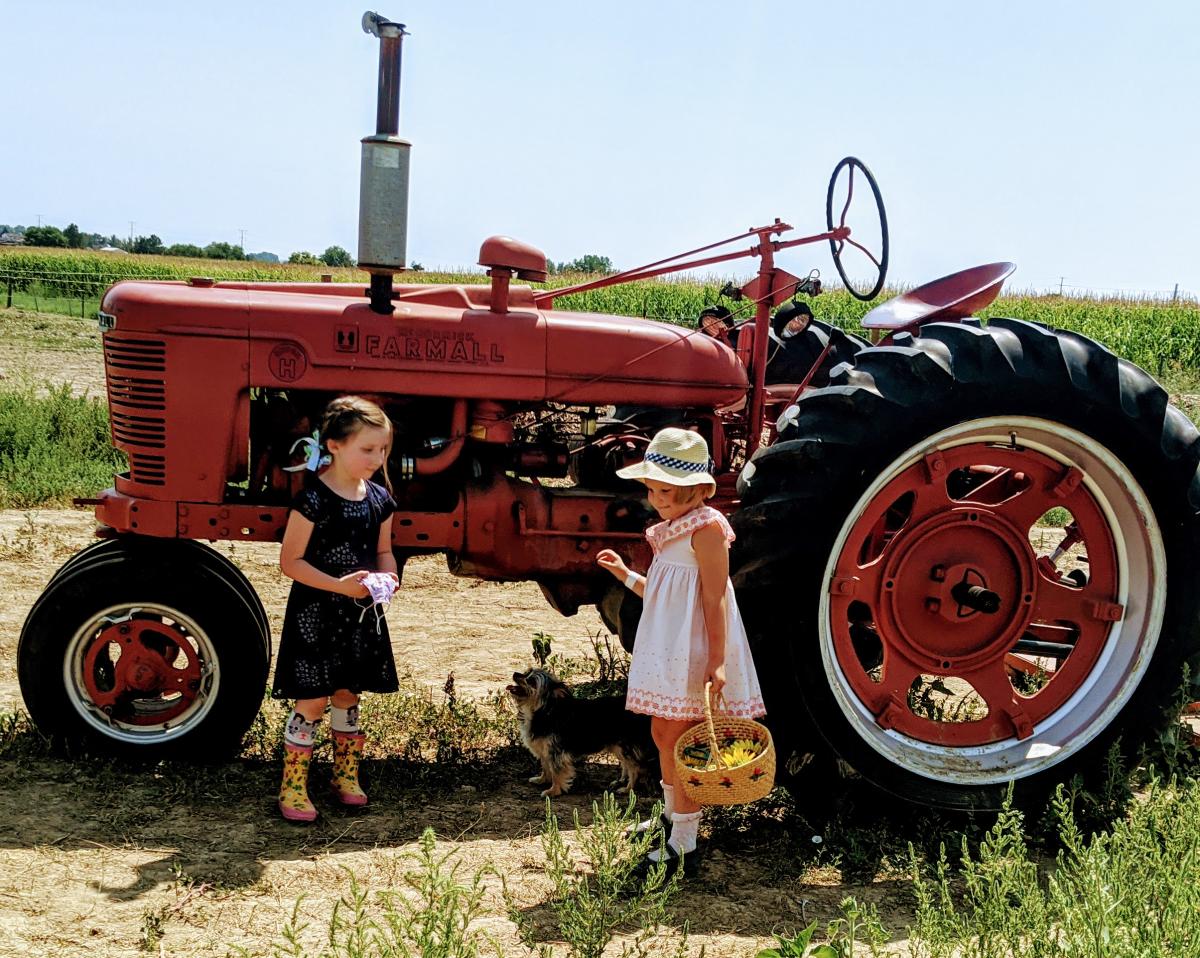 Bee Hugger Farm