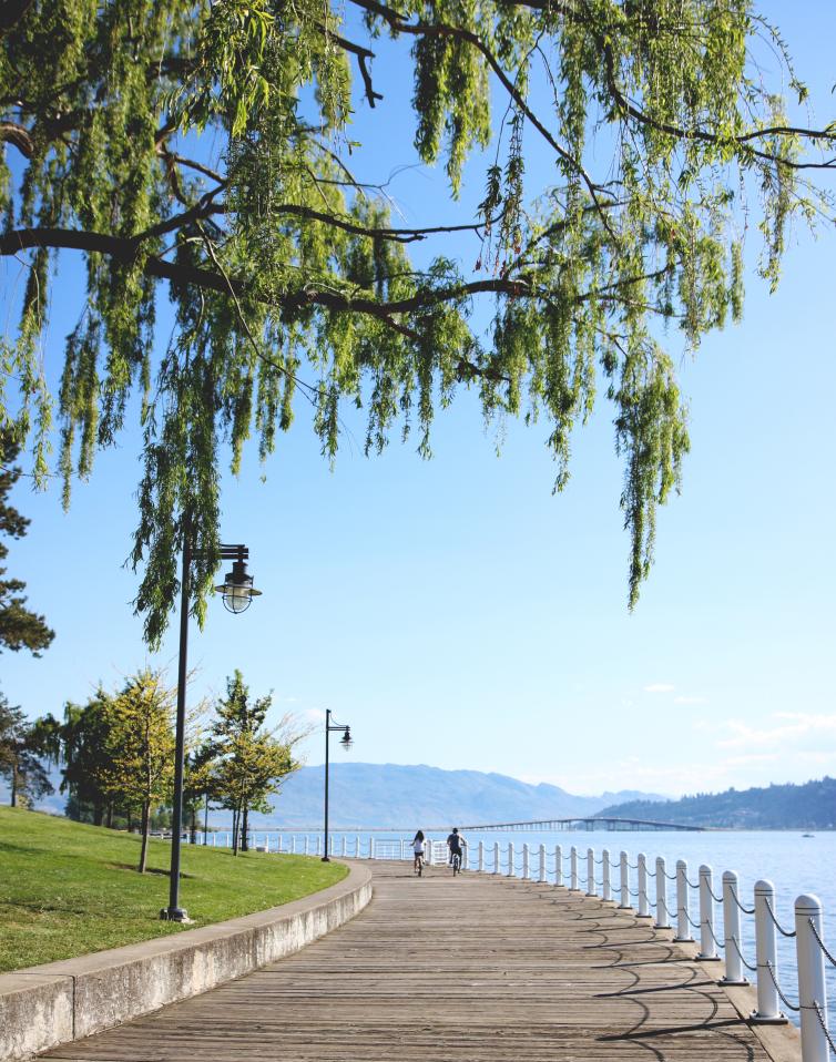 Waterfront Boardwalk