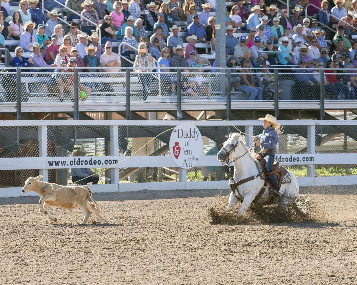 A cowgirl competes in the breakaway roping competiting