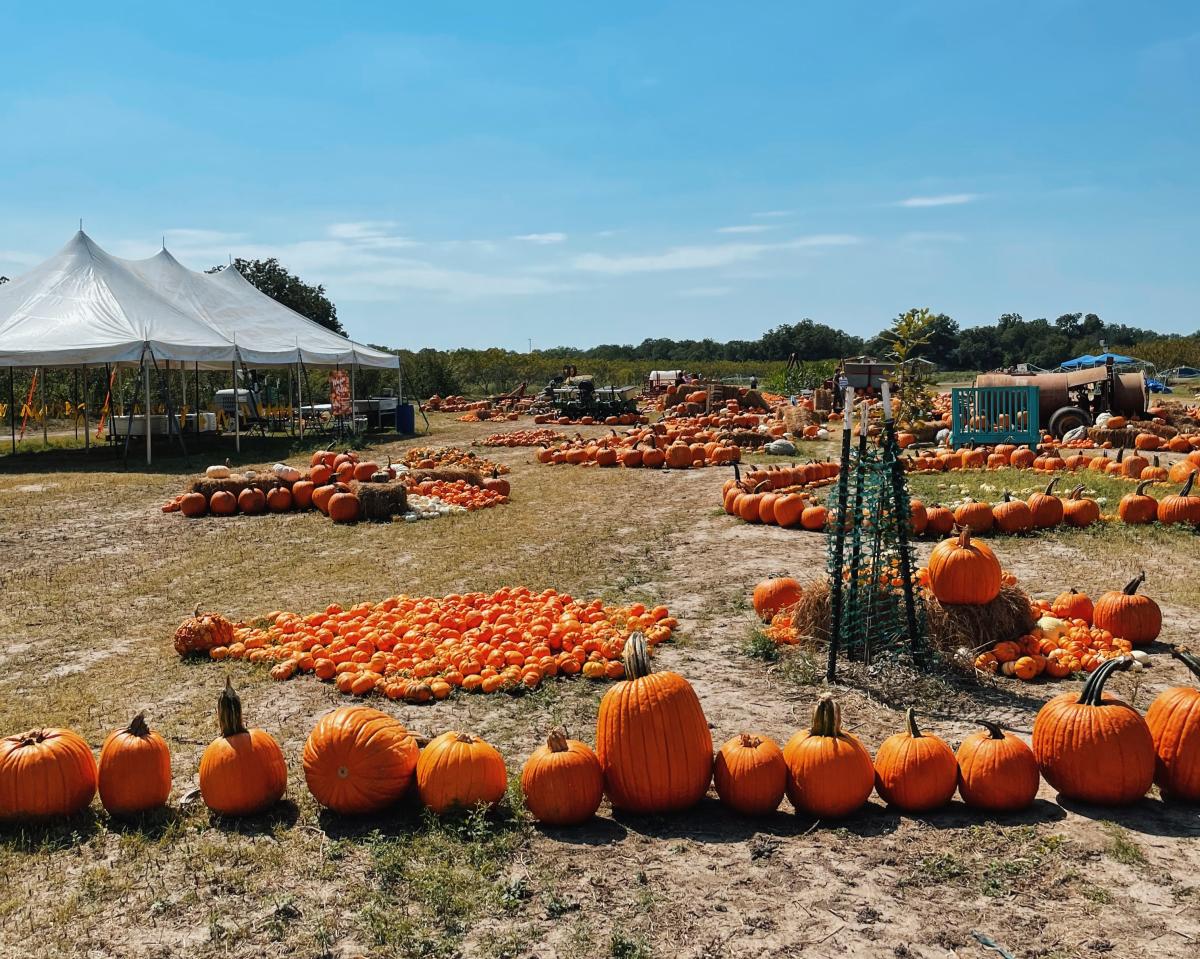 Sweet Eats Fruit Farm