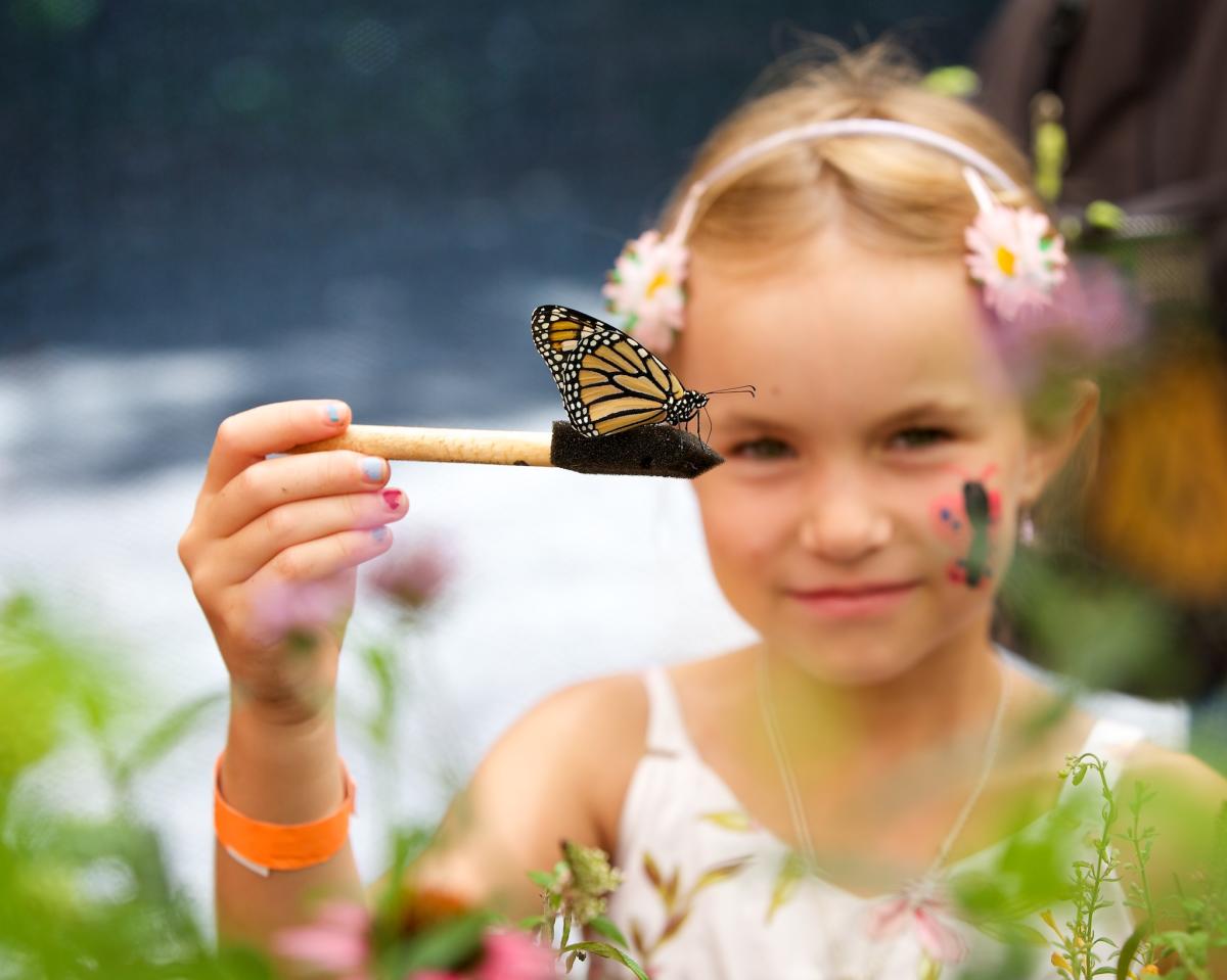 Little girl at Butterfly Festival