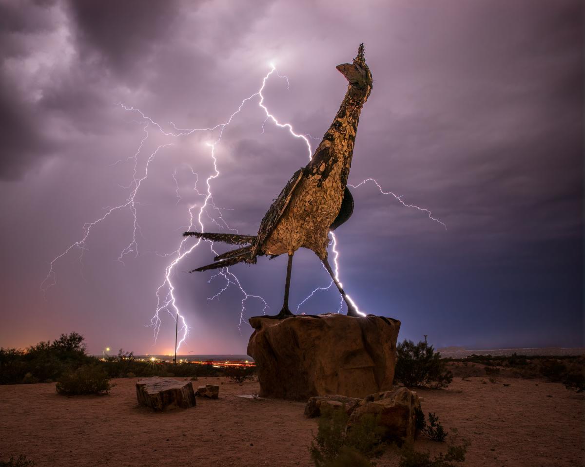 "Electric Roadrunner" by David Turning placed Honorable Mention in the New Mexico Experience category.