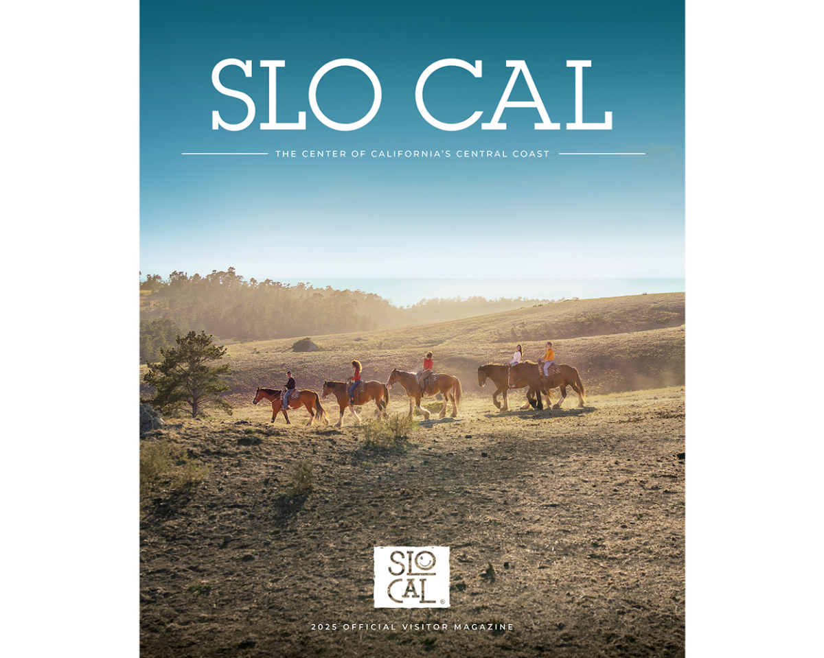 2025 Visitors Magazine Cover