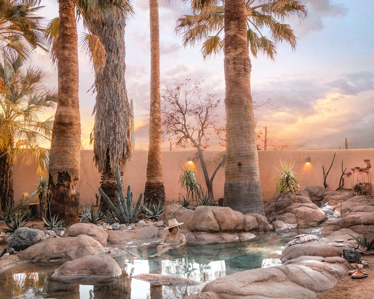 Person relaxing in desert hot spring underneath palm trees