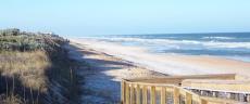 The beach at North Peninsula State Park near Daytona Beach