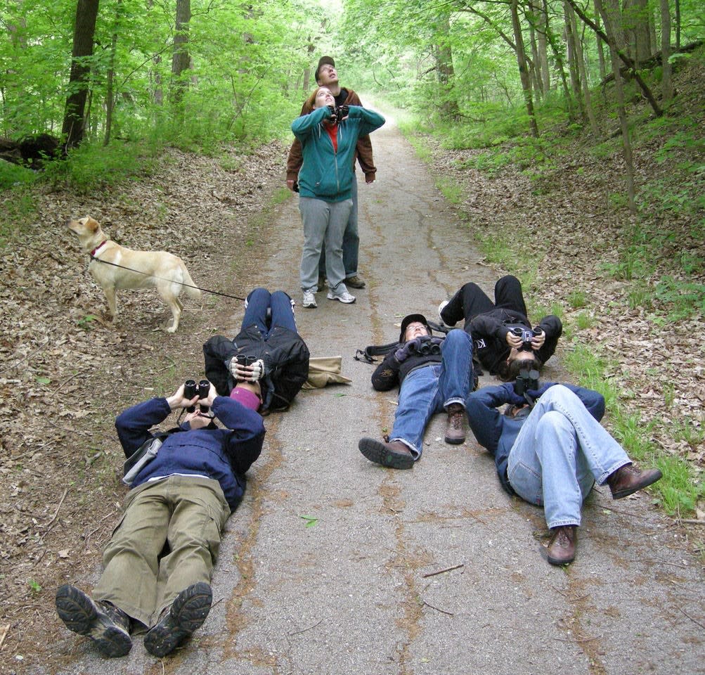 Warbler Neck / Group Birding