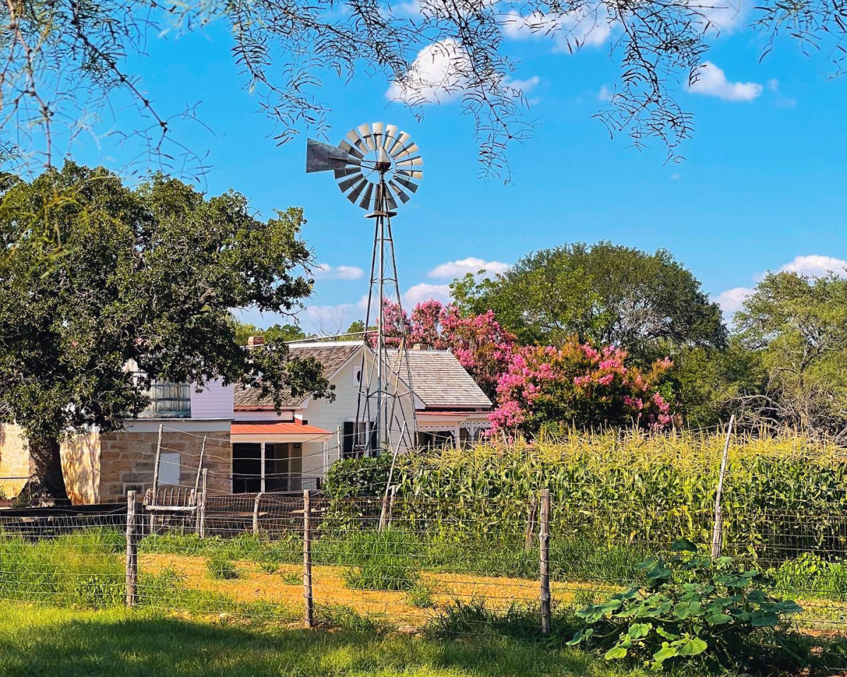 Image of an old farmhouse, garden and windmill at the LBJ State Park & Historic Site.