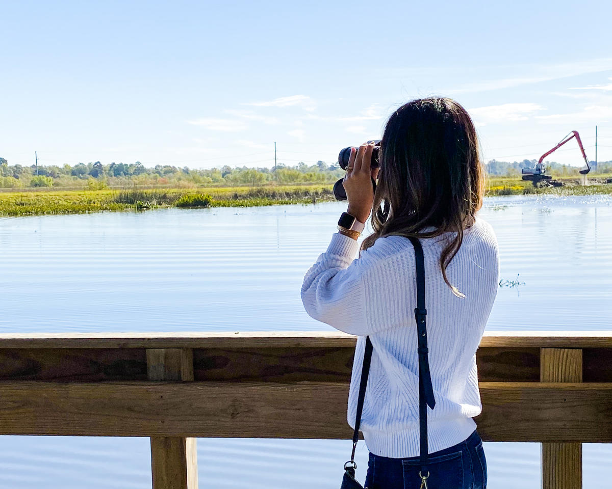 Copy of birdwatching