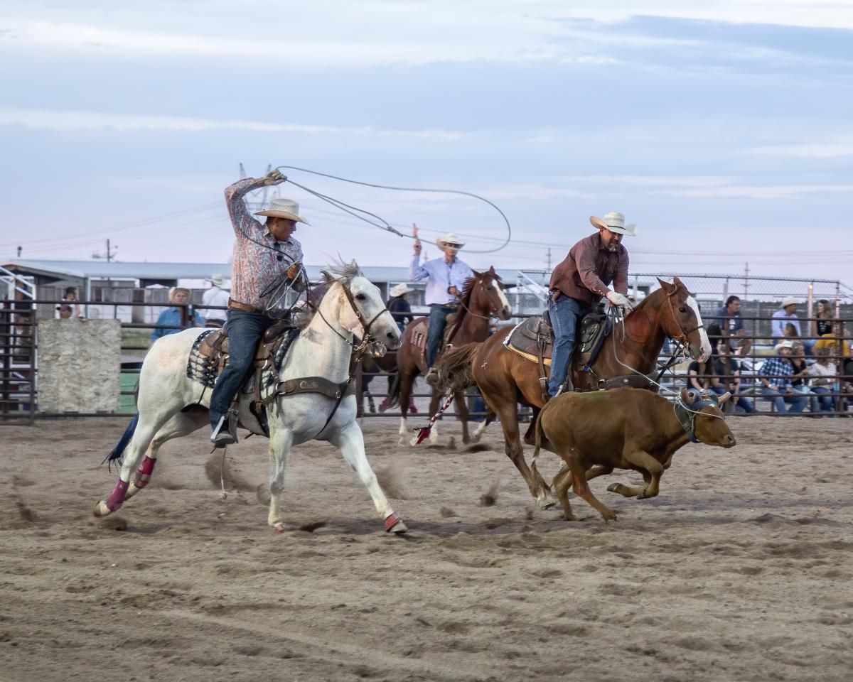 Team ropers compete in the hell on wheel rodeo