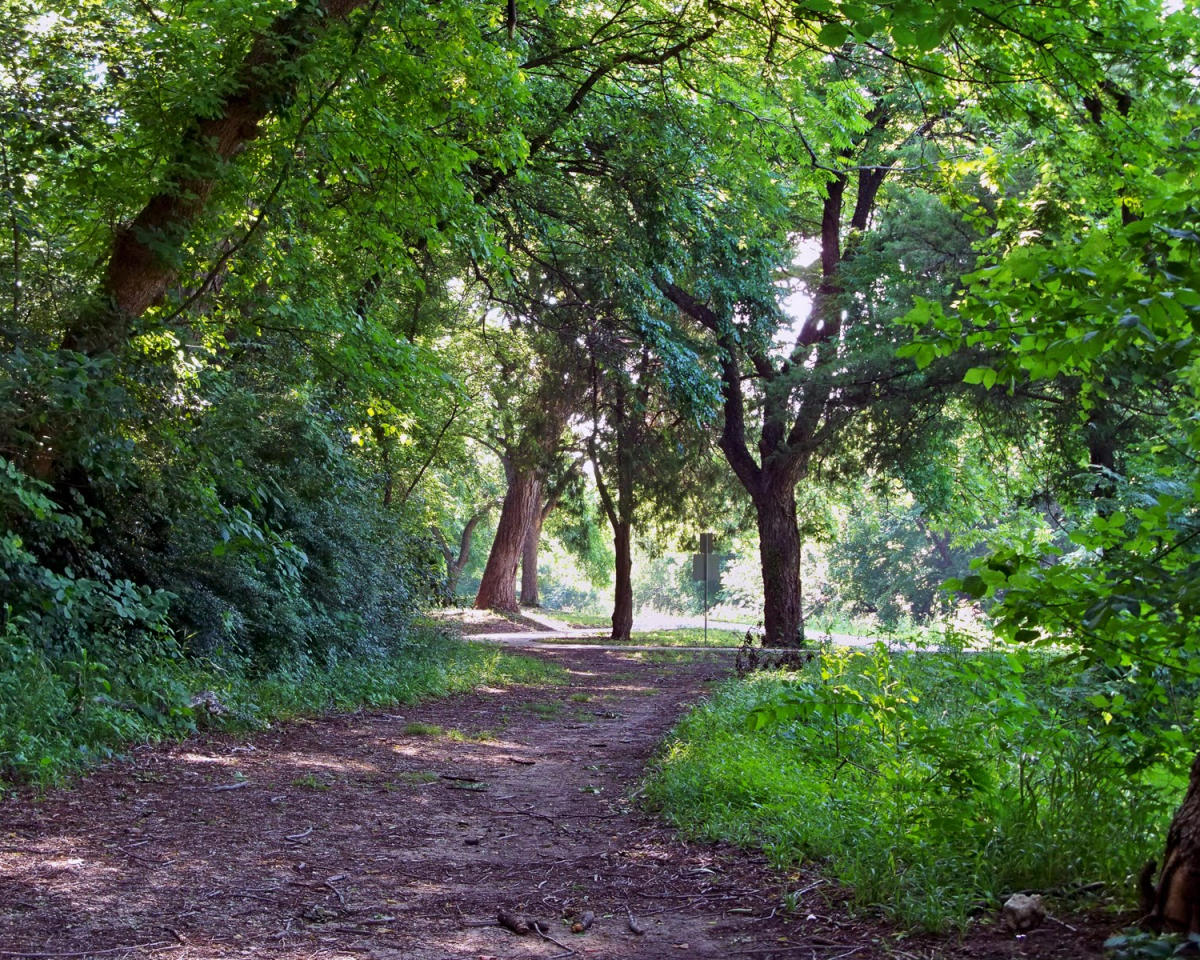 Coombs Creek Trail