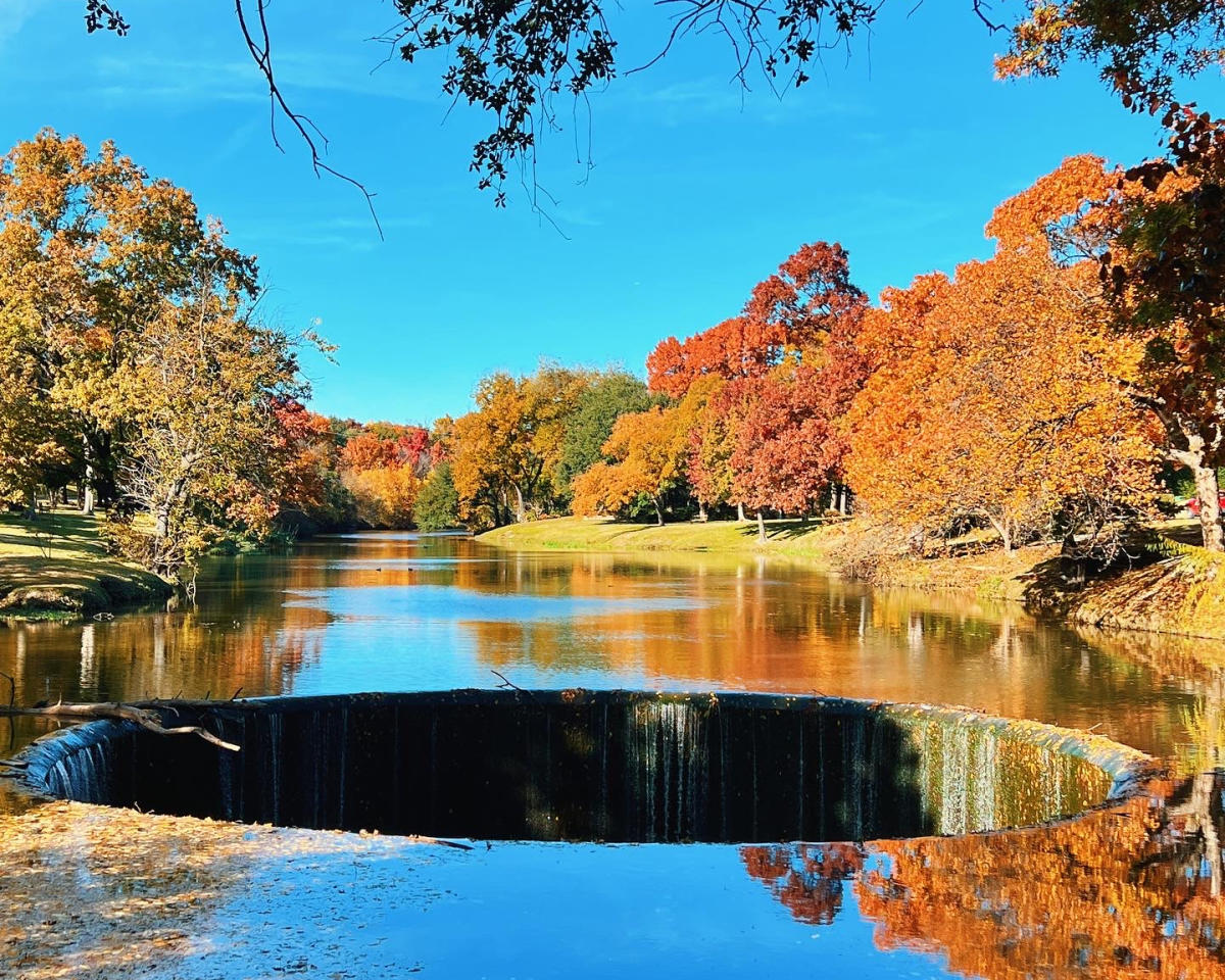Where to See Fall Foliage Around Dallas