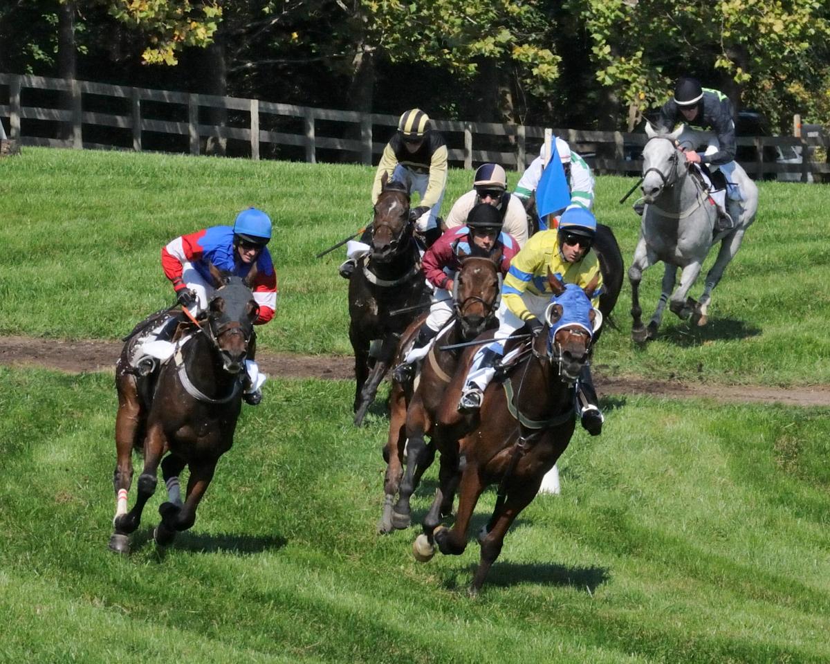 Riders racing on a grass course at the Loudoun Hunt Point to Point at Morven Park in Leesburg, Virginia