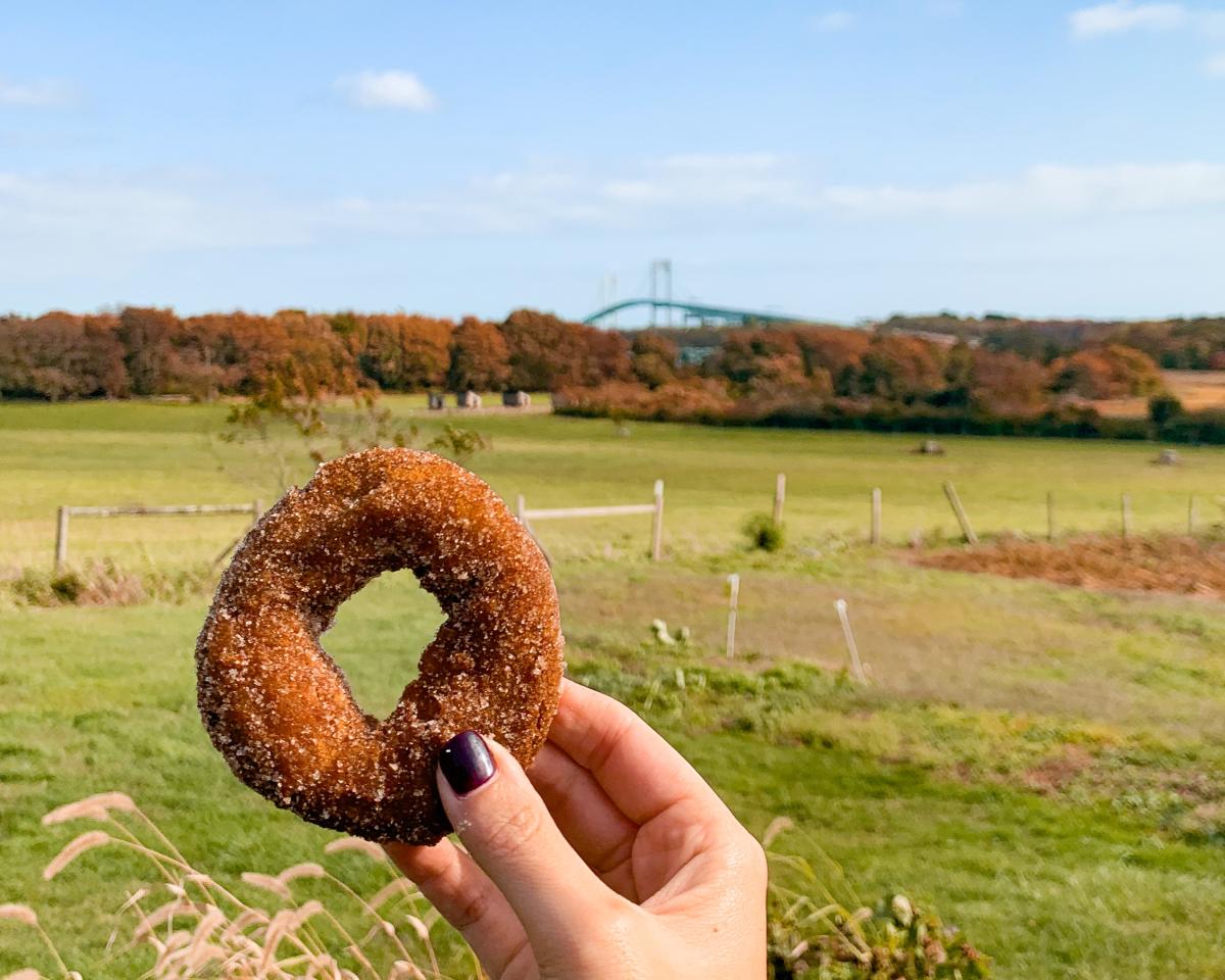 Hard-pressed Cider Company