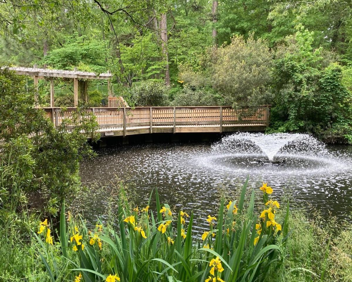 Park fountain and bridge with blooms