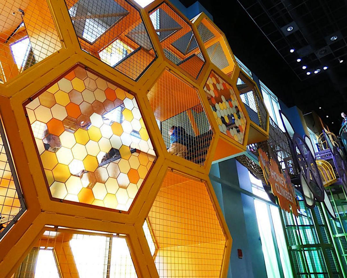 The Honey Climber at The Discovery Gateway Children's Museum